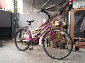 Sepeda Phoenix - Fashion 26 inch