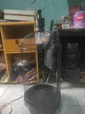Kandang lb masih kinclong di BSD
