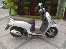 DP 1000 Scoopy prestige thn 2024