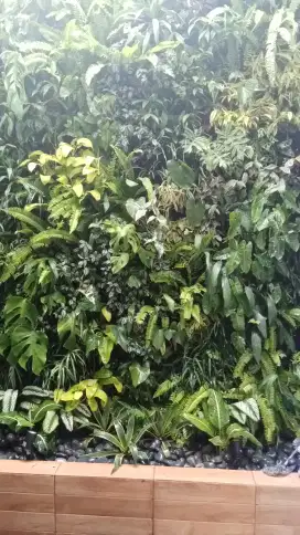 Vertical garden taman dingding haraga permeter