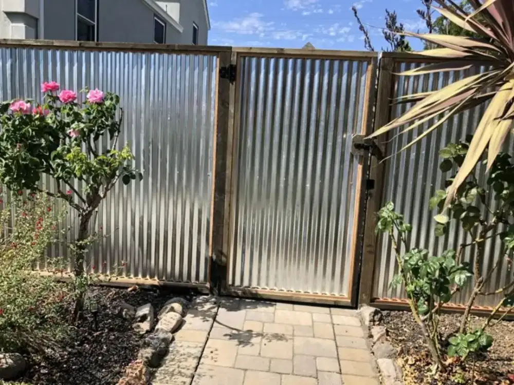 Dicari Pembisnis Berkebun Mangga Kiojay Madu Thailand tinggal Menanam