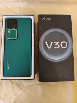 Vivo V30 Ram 8 256