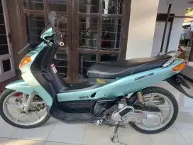 Nouvo lele hijau
