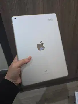 Ipad 9, 64 gb, Wifi Only, Batangan, seken