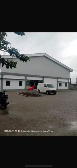 DICARI MANDOR CETAK SARANG BURUNG WALET