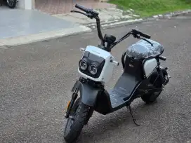 Honda ezoomer CBU Japan