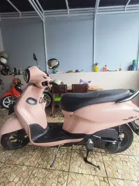 Yamaha grand filano 2024