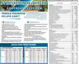 Cari karyawan untuk posisi sebagai pemanen lanjang dan pasutri