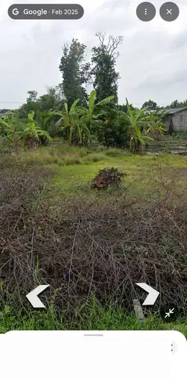 Lahan pertanian 10 HA harga 400 ribu permeter di Sooko, Mojokerto