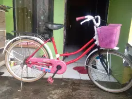 Sepeda mini MORINO RIMS. 24.INCH.