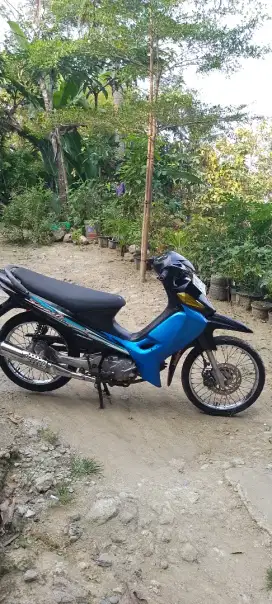 Dijual smash pajek hidup
