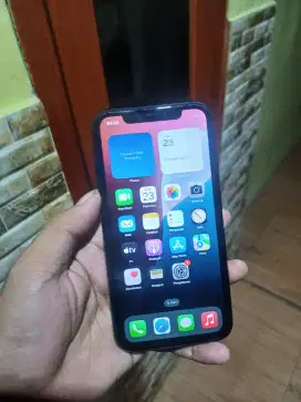 Iphone XR 64 GB Regis 2018