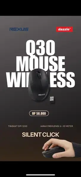 Mouse wireless Rexus Q30