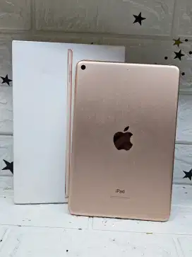Ipad mini 5 64gb wifi only second