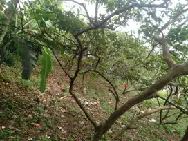 Dijual tanah 390m2 dalam cluster bisa bangun 5unit rumah
