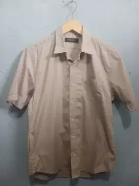 Kemeja excekutive
