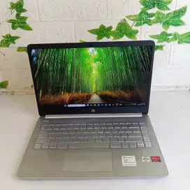HP 14S AMD Athlon Gold 3150U 8/512 Gb