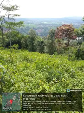 Dijual murah tanah kebun dan sawah