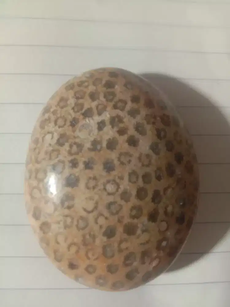 Batu gandul sarang tawon