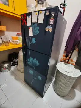 kulkas 2 pintu polytron