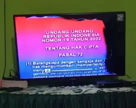 TV Polytron 40 inch
