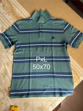 Kaos Polo Pria Timberland Hijau Stripe Biru