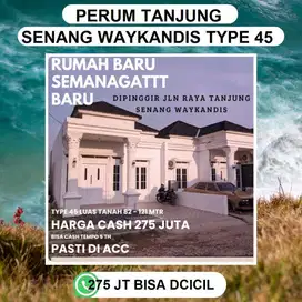 PERUMAHAN TANJUNG SENANG DEKAT DENGAN PASAR WAY KANDIS DAN JATI MULYO