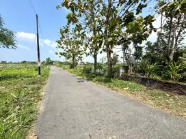 Tanah Pekarangan Kaliurang Jogja, Tepi Jalan 2 Juta-an