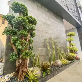 Tukang taman minimalis se-Jabodetabek - jasa pembuatan taman kering