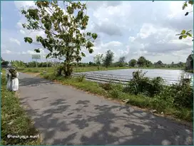 JUAL CEPAT Tanah Jl.Kaliurang, Klidon Dekat Cluster Mukti SukoHARJO