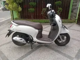 Honda Scoopy 2024