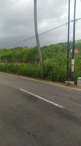 Pekarangan Borobudur