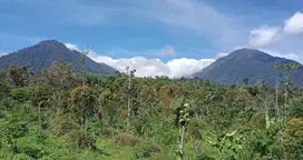 Di jual tanah dengan view gunung berada di ketinggian 800 MDPL