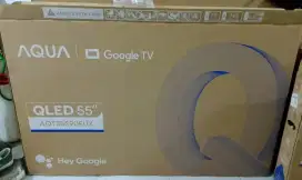 TV Google 55 Inchi