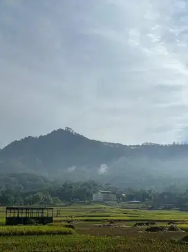 dicari art menginap dan jujur