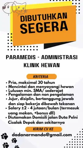 Lowongan Kerja Paramedis Administrasi Klinik Hewan