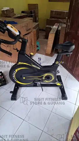 Ready sepeda olahraga sepeda terapi sepeda statis platinum bike