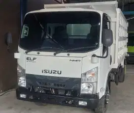 Dump Truk ELF NMR HD 6.5 2024 super istimeewa