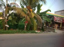 HIJUAL TANAH SENDIRI