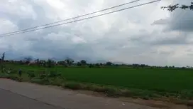 Dijual Tanah Lokasi Strategis Izin Industri Rancaekek Bandung Timur