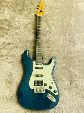 Gitar washburn lyon series upgrade