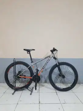 POLYGON PREMIER 4 TAHUN 2020