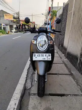 HONDA SCOOPY DONAT STYLISH 2018
