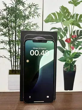 Iphone 12 Pro Max 128 GB
