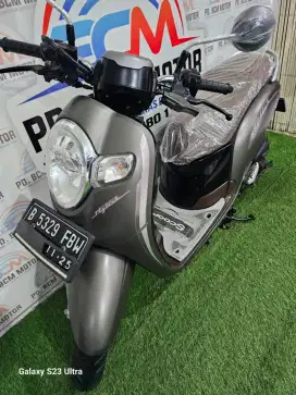 Honda Scoopy Stylish 2020