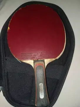 bet donic waldner wc 89 berkelas