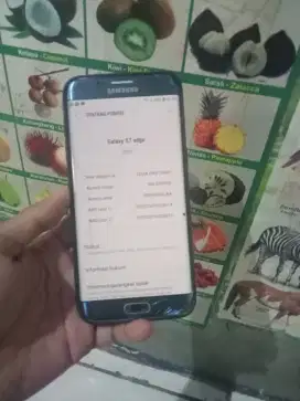 Samsung S7 edge