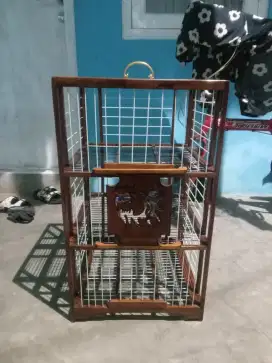 Dongdang lepas Jati fiber