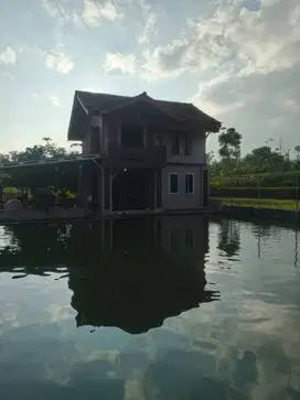 Rumah 2 tingkat di tengah sawah ada kolam dan garasi