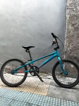 Polygon Rogue 20 biru